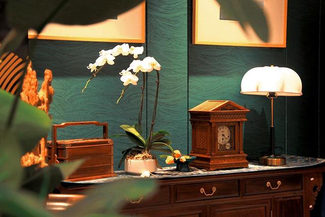 2020���ľ�Ҿ�ʮ��Ʒ��__��ľ�Ҿ߶���