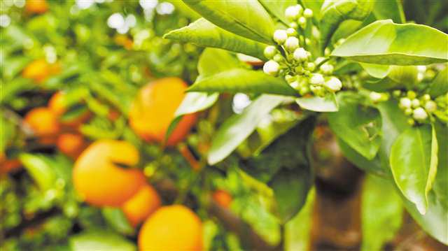 ����Ԫ�塱��ˮ�ѵı������������������Ӵ岿�ִ���ӳ���ճ�����Ҫ����ˮ��Ϫ��ˮ__����Ԫ�塱��ˮ�ѵı������������������Ӵ岿�ִ���ӳ���ճ�����Ҫ����ˮ��Ϫ��ˮ