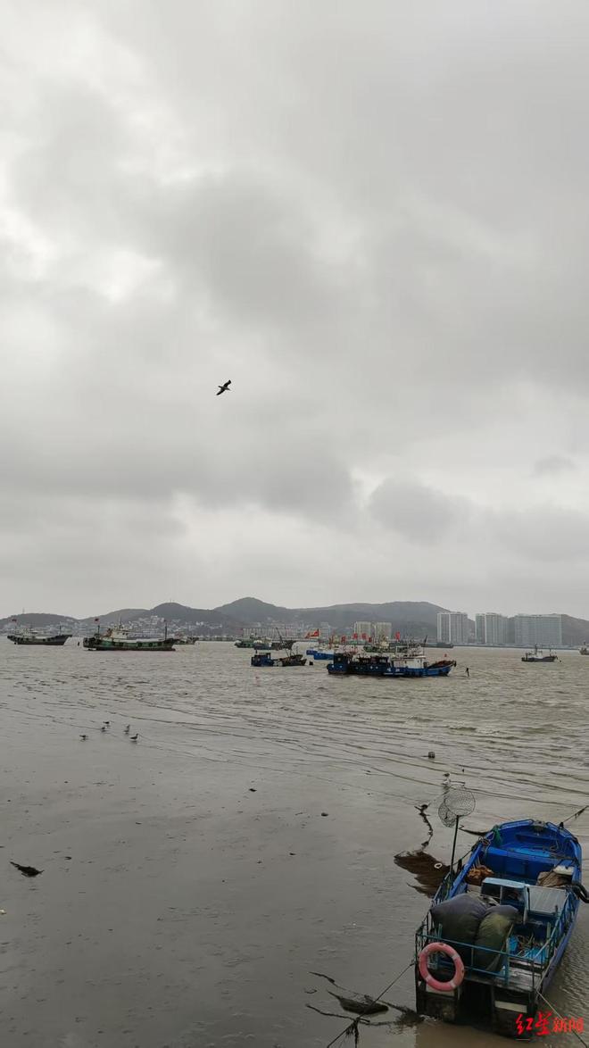 ֱ���㽭����С�ء�ȫԱֱ�����С��ĸ�������ɳ�����ʵ��������������_ֱ���㽭����С�ء�ȫԱֱ�����С��ĸ�������ɳ�����ʵ��������������_