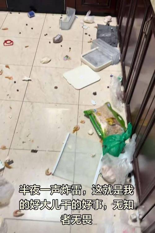 _���䱬ը����_���䱬ը��ô�⳥