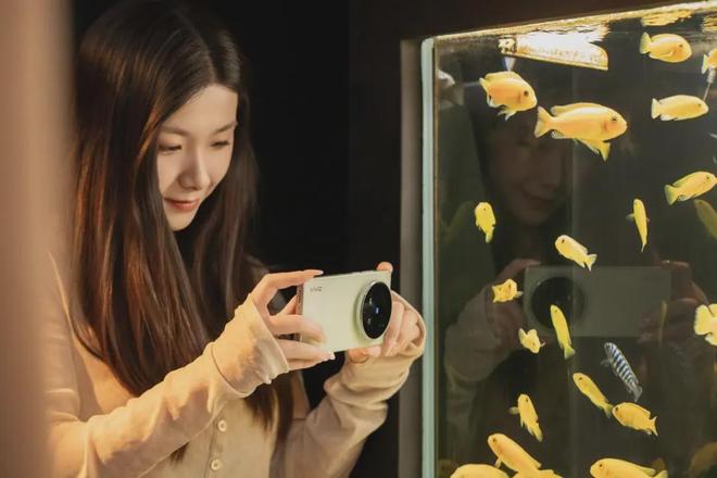 _2019ֵ���ڴ����Ӿ�_ÿһ��Ȩ����ֵ���ڴ�