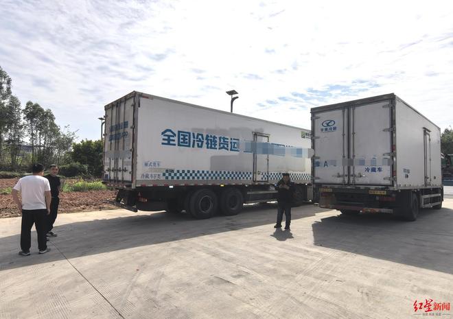 27�ֶ�ţͷţ���ʡ�����