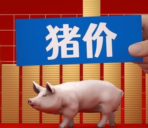 ���۵���10Ԫ�ؿڡ�������ȿ���