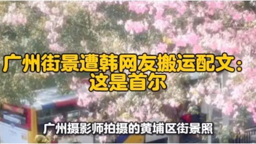 _�����׶��羰��Ƶ_̨��־������Ƶ