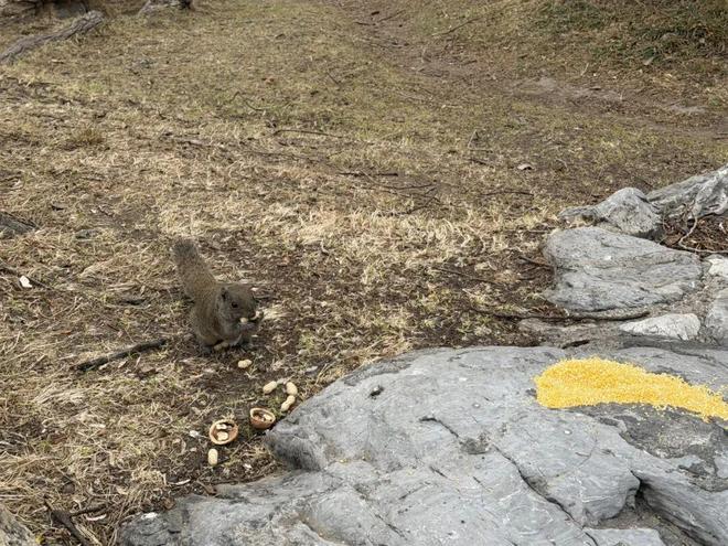 _���ݰ���һ��Ͷι8����������԰��ߣ���󡱣����ܺ����ֺ���_���ݰ���һ��Ͷι8����������԰��ߣ���󡱣����ܺ����ֺ���