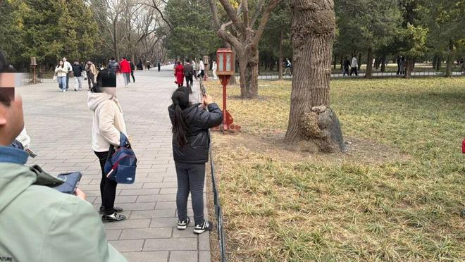 ���ݰ���һ��Ͷι8����������԰��ߣ���󡱣����ܺ����ֺ���__���ݰ���һ��Ͷι8����������԰��ߣ���󡱣����ܺ����ֺ���