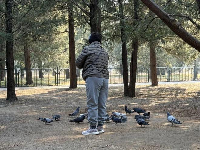 _���ݰ���һ��Ͷι8����������԰��ߣ���󡱣����ܺ����ֺ���_���ݰ���һ��Ͷι8����������԰��ߣ���󡱣����ܺ����ֺ���