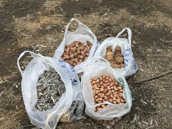 _���ݰ���һ��Ͷι8����������԰��ߣ���󡱣����ܺ����ֺ���_���ݰ���һ��Ͷι8����������԰��ߣ���󡱣����ܺ����ֺ���