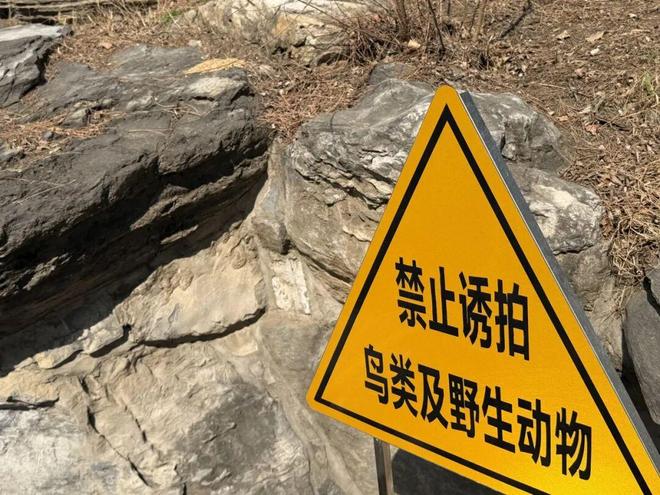 ���ݰ���һ��Ͷι8����������԰��ߣ���󡱣����ܺ����ֺ���_���ݰ���һ��Ͷι8����������԰��ߣ���󡱣����ܺ����ֺ���_