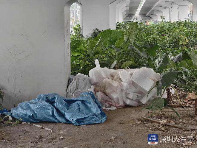 ����һ������ҹ�ﾪ�֡�������������ִ����Ա����ʱ��Ϯ�����½�չ__����һ������ҹ�ﾪ�֡�������������ִ����Ա����ʱ��Ϯ�����½�չ