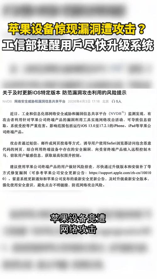 ���Ų�©������_����ϵͳ©��������_