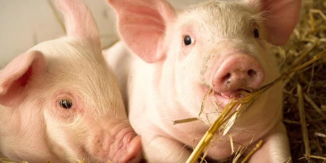 ���۵�����7���µ�