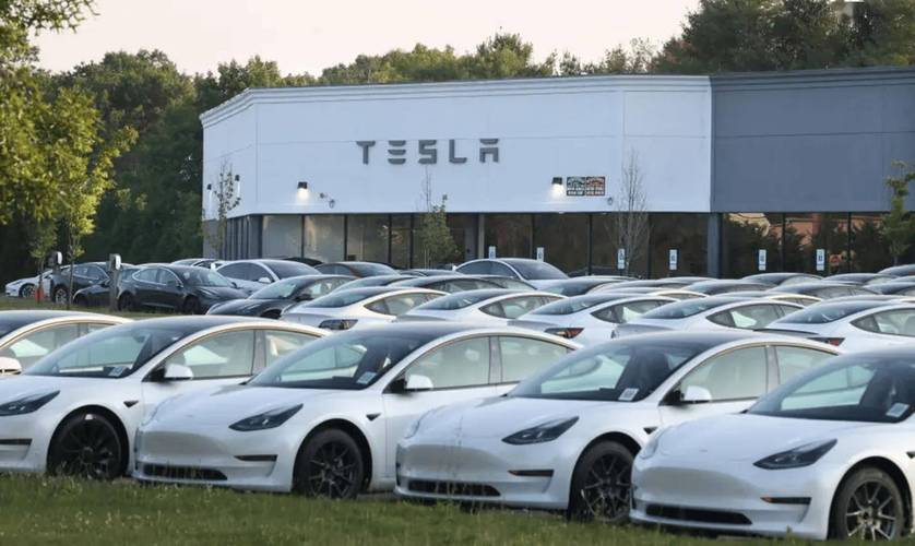 _��˹������_��˹���������