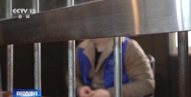 �������__�羳���