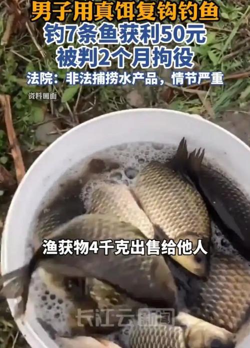 �Ƿ����ɻ���5���м���__û����ʦ��Ժ����������