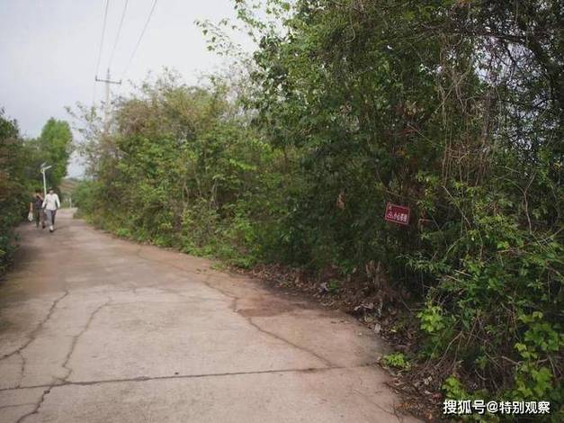 �Ͷ������°�;��ˤ��__Ů��ѧ����У;����������