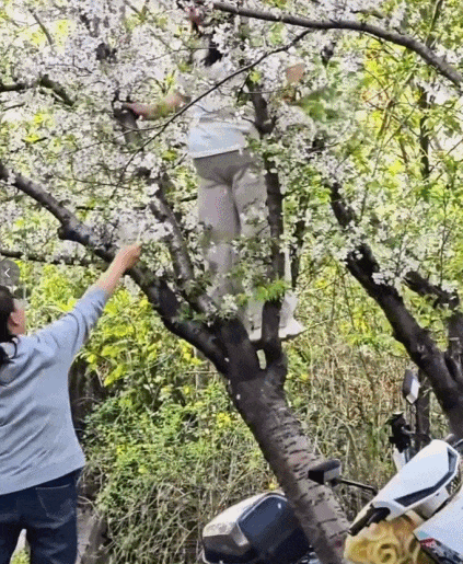 �Ϻ�һ��԰��Ů���������գ�20������ӣ����