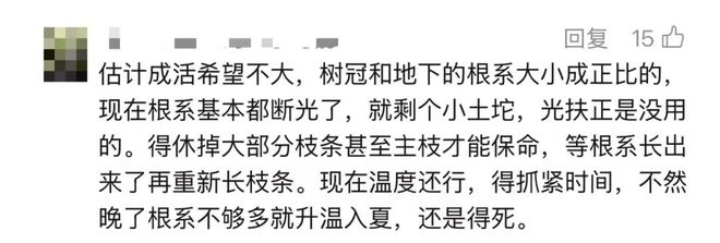 ӣ���Ϻ��ۺ����绰__�Ϻ�ӣ�����޹�˾