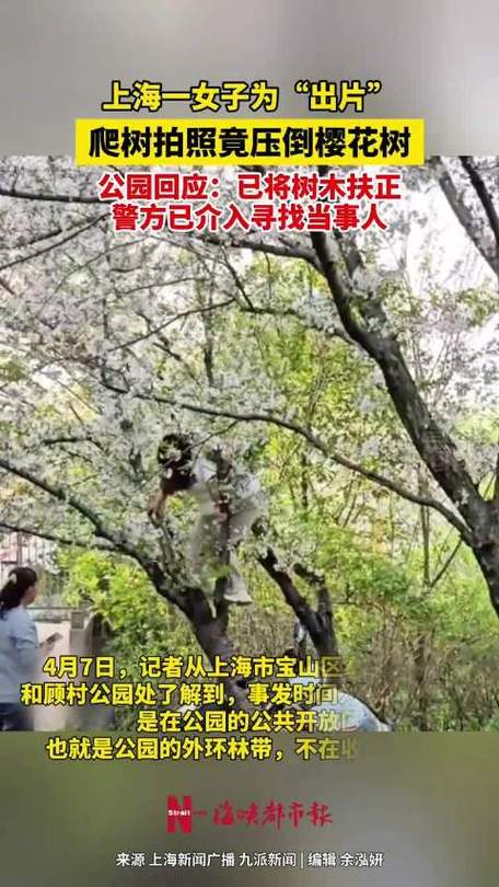 �Ϻ�ӣ�����޹�˾_ӣ���Ϻ��ۺ����绰_