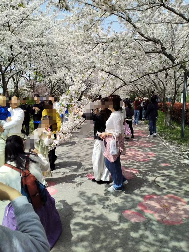 �Ϻ�ӣ�����޹�˾__ӣ���Ϻ��ۺ����绰