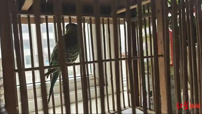 _���ļ�������_����������֢����