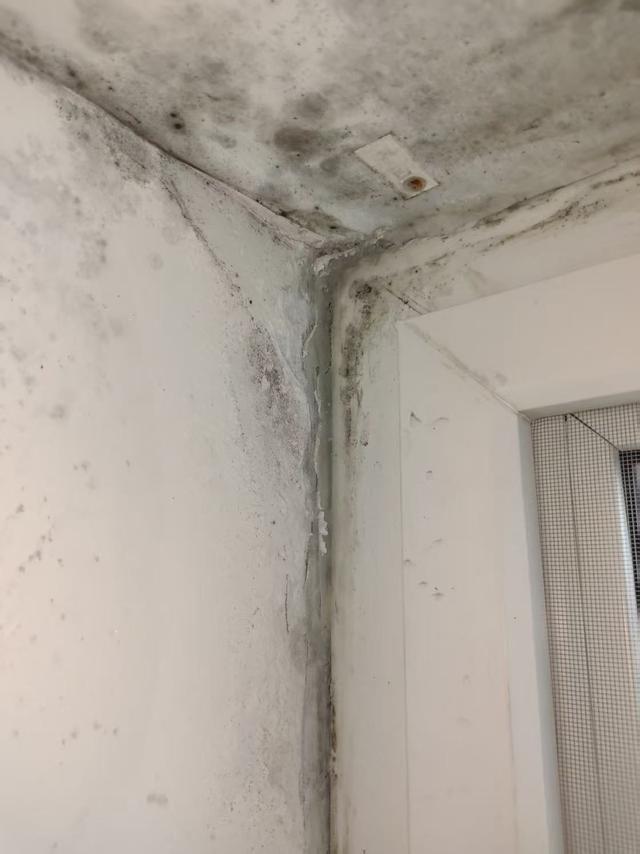 ������ǽ������ǽ��__���������Ǳ��˼ҵ�ǽ