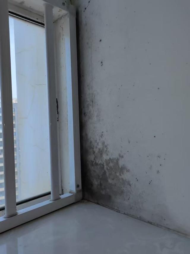 ������ǽ������ǽ��_���������Ǳ��˼ҵ�ǽ_