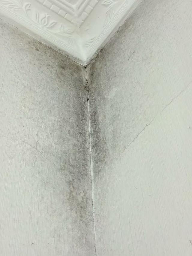 ���������Ǳ��˼ҵ�ǽ_������ǽ������ǽ��_