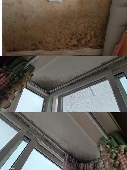 ���������Ǳ��˼ҵ�ǽ__������ǽ������ǽ��