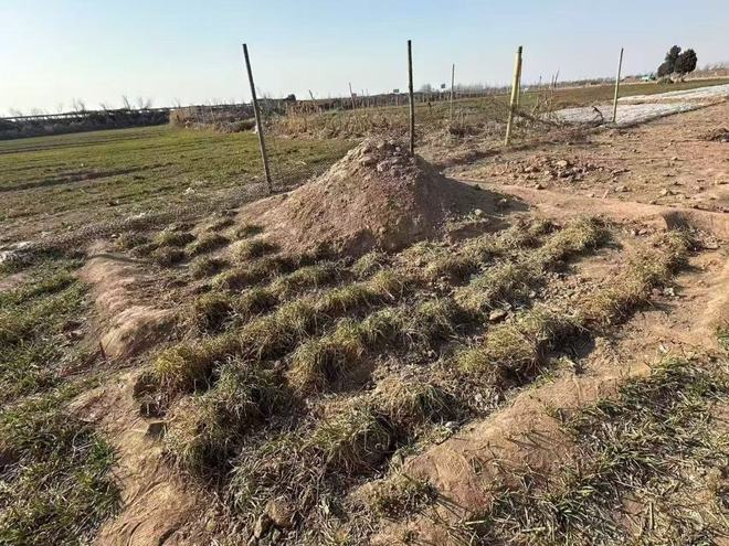 _���ӿ������ײ�˱�����_����������ײ��Ů����Ƶ