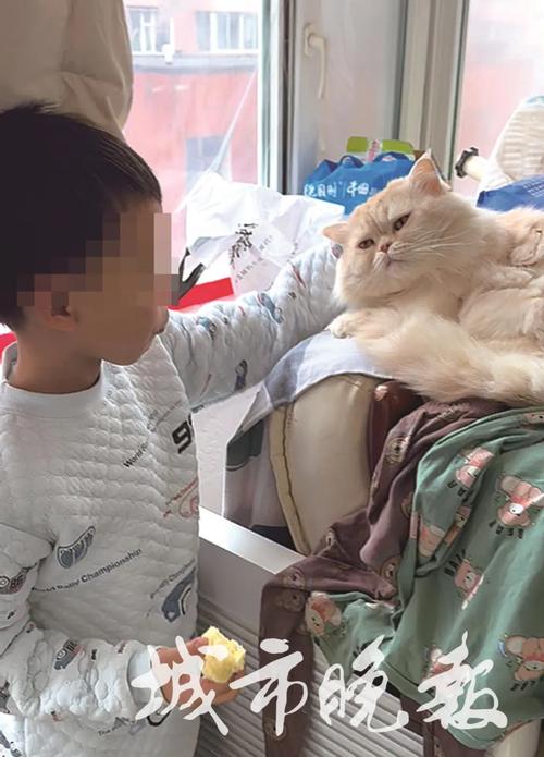 �����йܰ����__���йܰ��ϰ���ô��