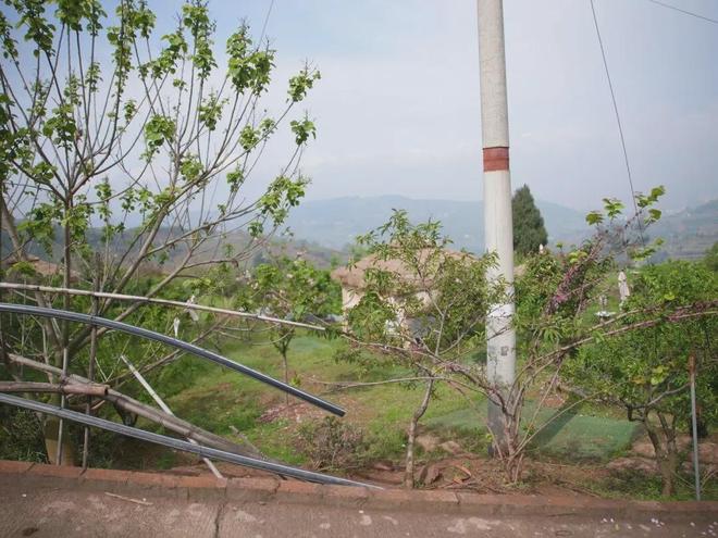 �����˺����ʧ����������__��ʧʧ����