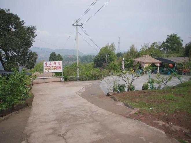 ��ʧʧ����_�����˺����ʧ����������_