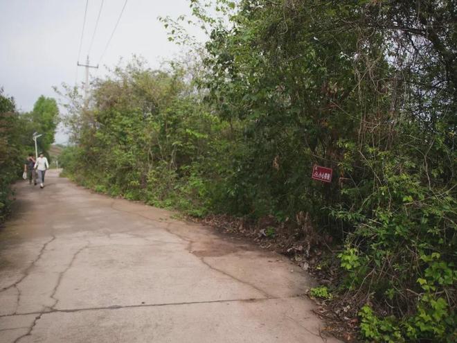 �����˺����ʧ����������__��ʧʧ����