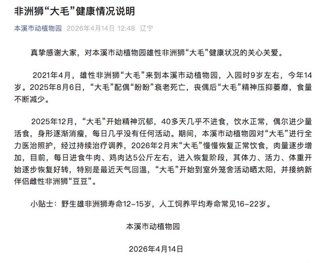 ����һ��ֲ��԰ʨ�ӱ����ɡ�ֽƬ