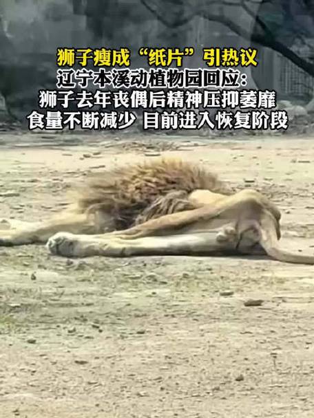 _ŭ���ʨ�Ӷ�ͼ_ֲ���ս��ʬ2������