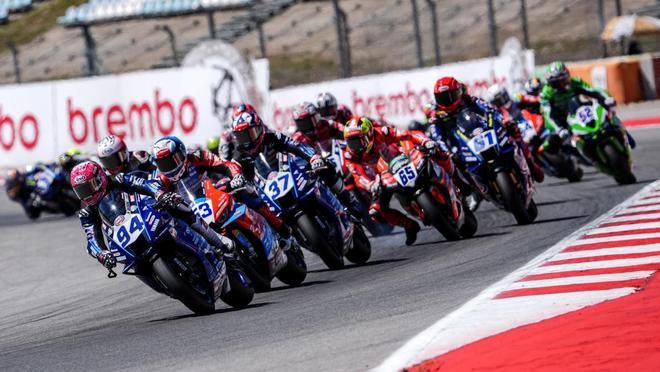 _����ѩ������λ�г�����λ���ڶ���_����ѩ������λ�г�����λ���ڶ���