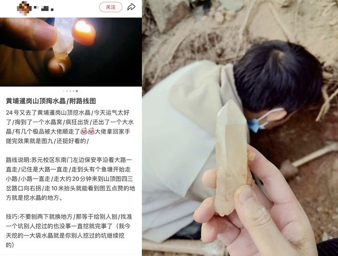 ��ɽɭ����Ƶ_��ɽ��ɭ�ֹ�԰_