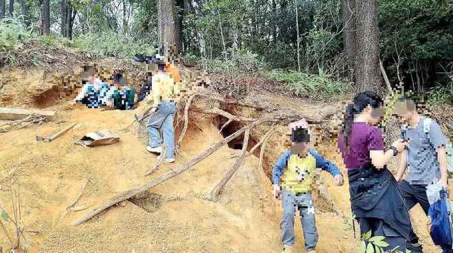 ��ɽɭ����Ƶ__��ɽ��ɭ�ֹ�԰