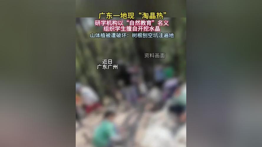 ��ɽɭ����Ƶ__��ɽ��ɭ�ֹ�԰