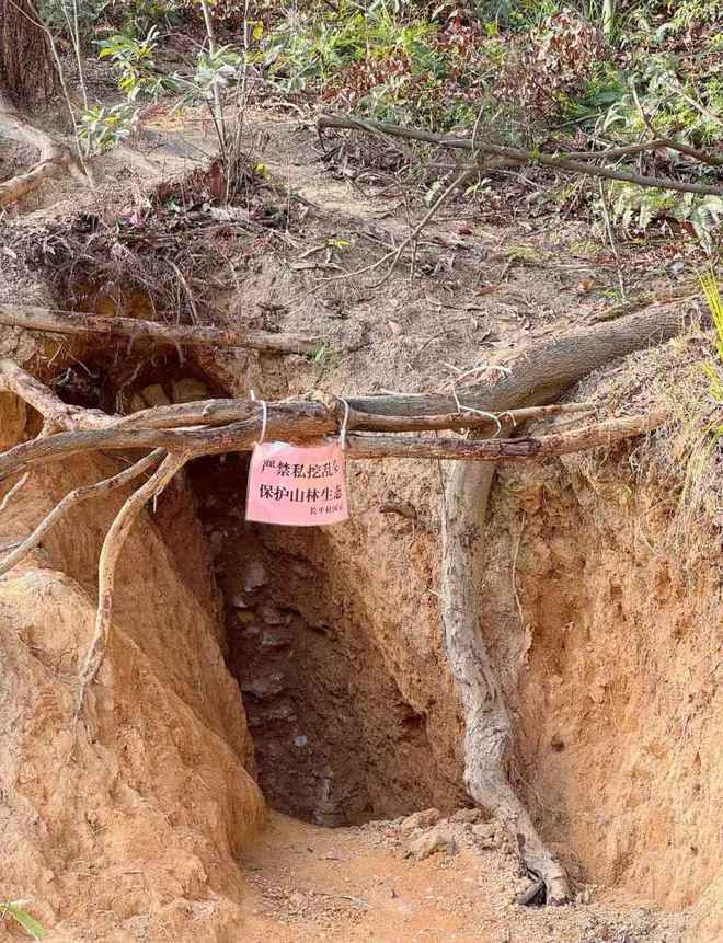 _��ɽɭ����Ƶ_��ɽ��ɭ�ֹ�԰