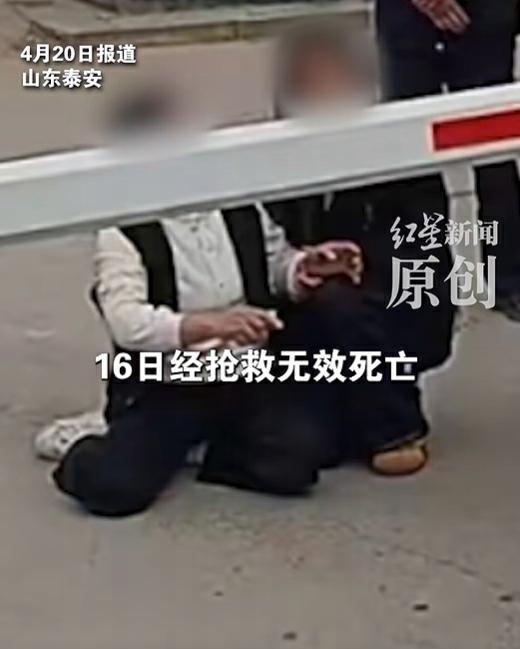 ѵ��Ӫ��Ӫ��֪_ѵ��Ӫ������_