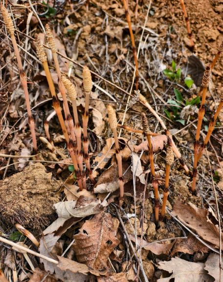 8���к��������ɽ���ִ�Ƭ�ʾ�