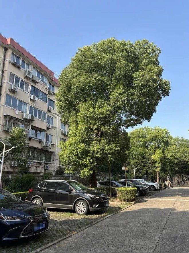 ����¥�ߵĴ�����͵���������ҵ�