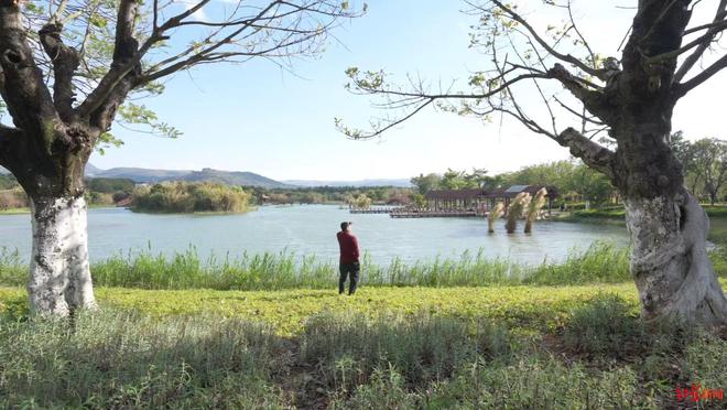 _��æ����·��_���·�ϵĹ���