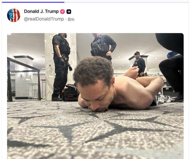 �������ڰ׹����ŷ�����__�����հ׹������ݽ�