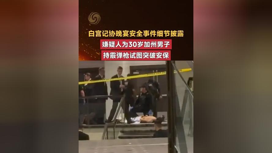 �������ڰ׹����ŷ�����_�����հ׹������ݽ�_