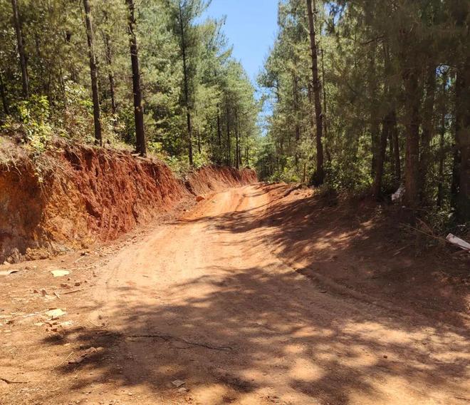 ��ǿ�鰸��������ɱ�ˣ���������ִ������__��ǿ�鰸��������ɱ�ˣ���������ִ������