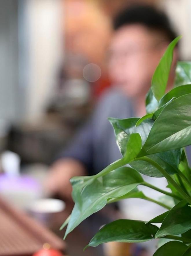 _15������ưɺ���30�����_������Ƭ����������ֵ��ֵ