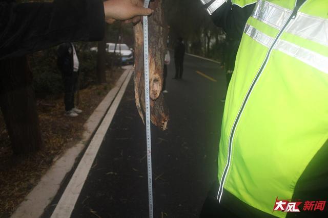 _Ů��ײ��������ô������_Ů��ײ����